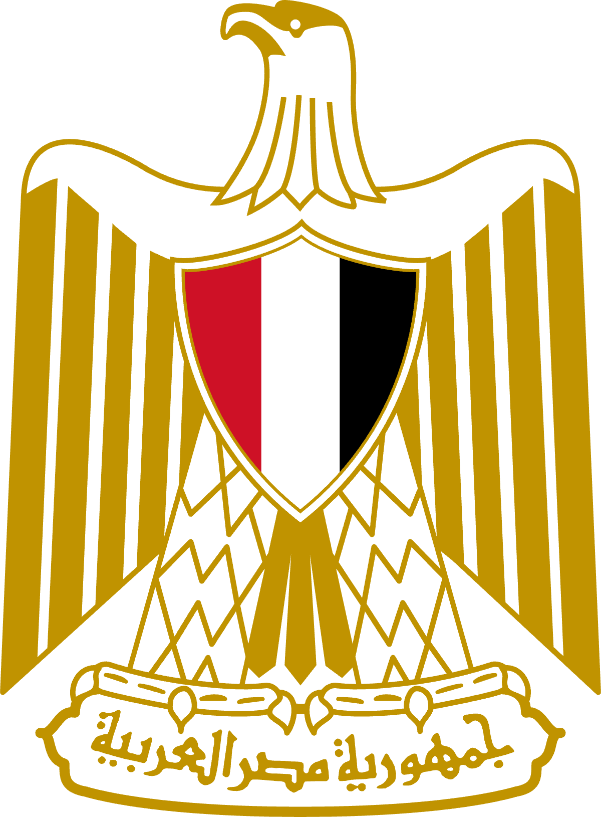 Logo 43